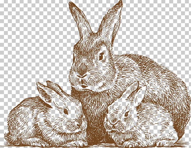 Rabbit Drawing Line Art Photography PNG, Clipart, Animals, Cute Border, Cute Vector, Domestic Rabbit, Drawn Vector Free PNG Download