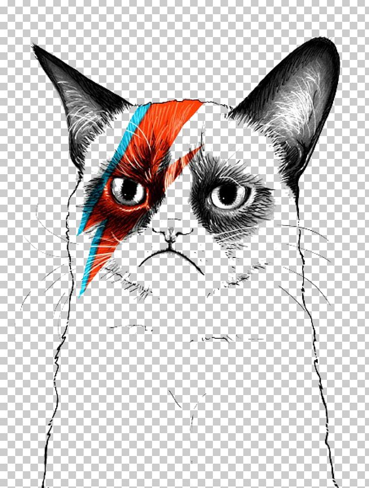 Grumpy Cat Musician Artist PNG, Clipart, Animals, Art, Artwork, Black And White, Blackstar Free PNG Download