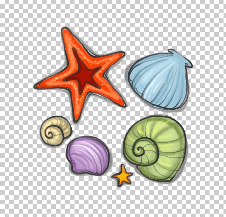 Seashell Starfish Sea Snail PNG, Clipart, Animals, Drawing, Encapsulated Postscript, Hand Drawn, Hand Drawn Arrows Free PNG Download