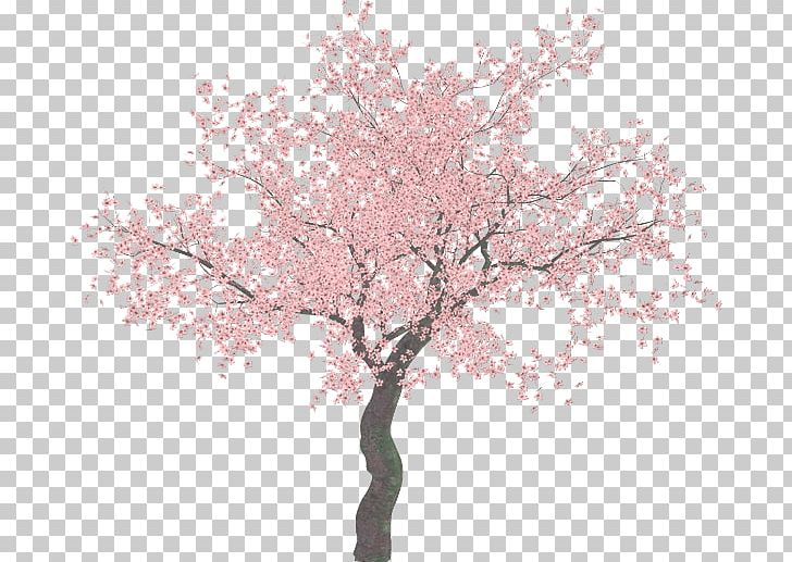 Cherry Blossom Tree PNG, Clipart, Blossom, Branch, Cerasus, Cherry, Cherry Blossom Free PNG Download
