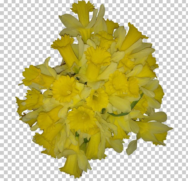 Cut Flowers Chrysanthemum Wedding Yellow PNG, Clipart, Bride, Brides, Chrysanthemum, Cut Flowers, Flower Free PNG Download