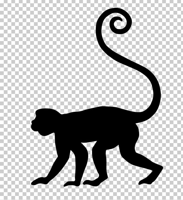 Cat Computer Icons Primate Cercopithecidae PNG, Clipart,  Free PNG Download