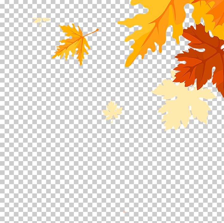 Maple Leaves Falling PNG, Clipart, Autumn, Cartoon, Computer Wallpaper, Coreldraw, Download Free PNG Download