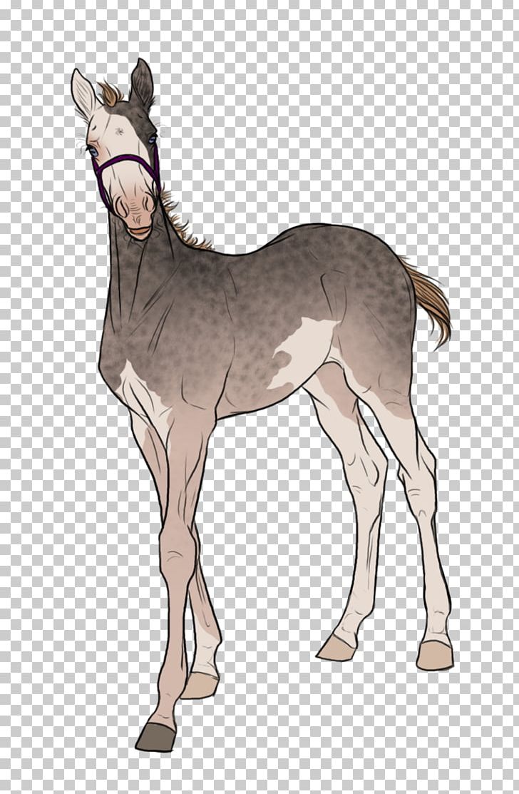 Mule Foal Stallion Mare Colt PNG, Clipart, Animal, Bridle, Colt, Deer, Donkey Free PNG Download