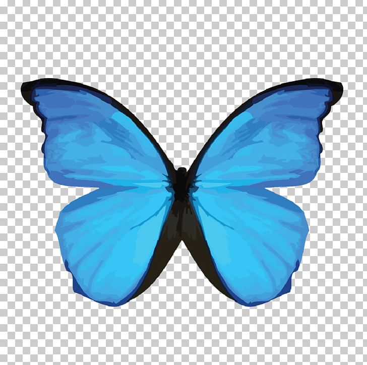Menelaus Blue Morpho Morpho Didius Insect Common Blue Morpho Butterflies PNG, Clipart, Azure, Blue, Butterflies, Butterfly, Common Blue Morpho Free PNG Download