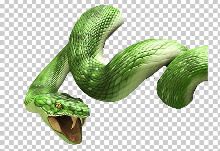 Snake Desktop High-definition Television PNG, Clipart, 1080p, Anaconda, Animals, Boa Constrictor, Boas Free PNG Download