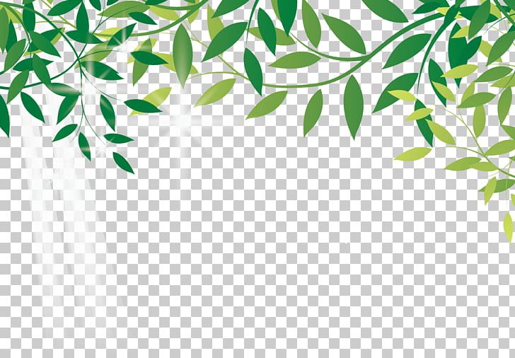 Amazon.com Earth Leaf Online Shopping Amazon Rainforest PNG, Clipart, Amazon, Amazon Forest, Amazon Vector, Angle, Banana Leaves Free PNG Download