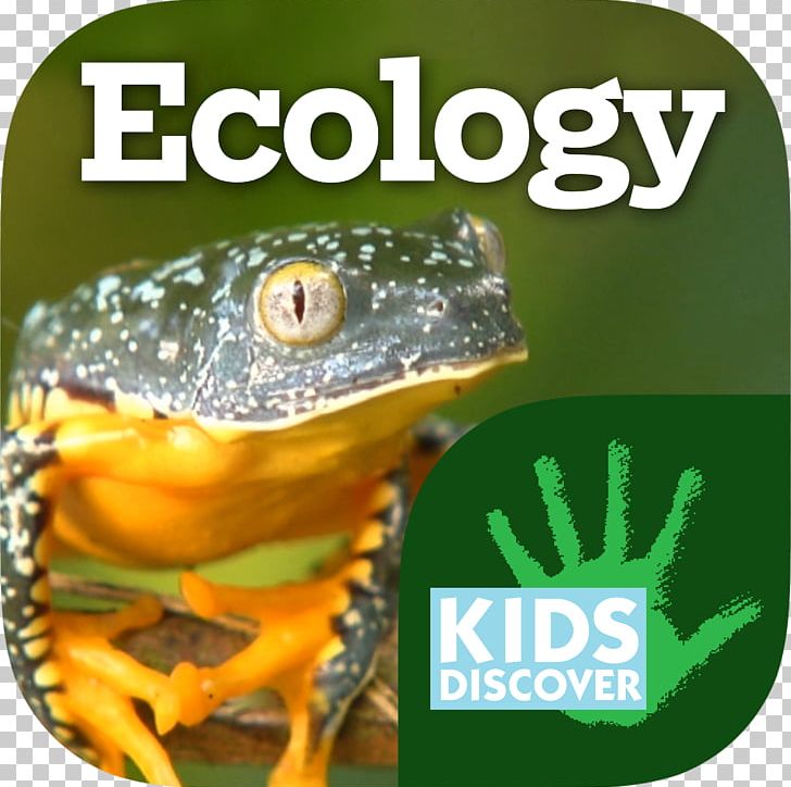 Kids Discover Ecology Child Natural Environment Information PNG, Clipart, Amphibian, Book, Child, Ecology, Ecosystem Free PNG Download