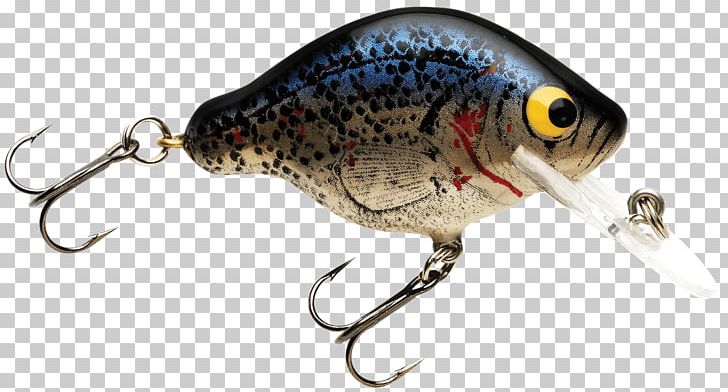 Plug Perch Fishing Bait Crappie PNG, Clipart, Bait, Bass, Be Perfect, Bluegill, Crappie Free PNG Download