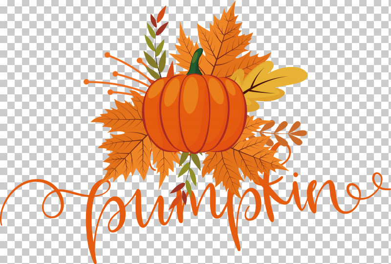 Pumpkin PNG, Clipart, Autumn, Pumpkin Free PNG Download