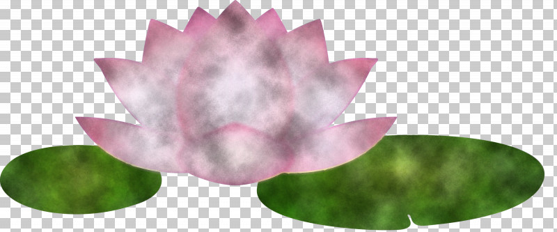 Lotus Flower PNG, Clipart, Aquatic Plant, Flower, Lilac, Lotus, Lotus Family Free PNG Download