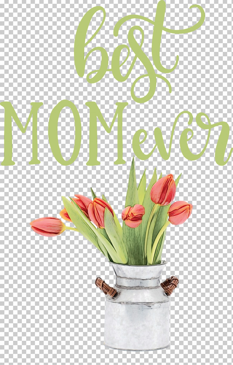 Tulip Mania Tulip Dutch Golden Age Flower PNG, Clipart, Best Mom Ever, Dutch Golden Age, Flower, Mothers Day, Paint Free PNG Download