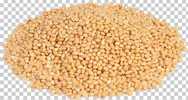 Boza Proso Millet Groat Cereal PNG, Clipart, Bean, Boza, Bran, Caryopsis, Cere Free PNG Download