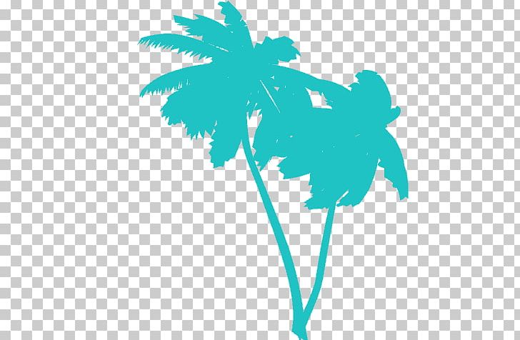 Palm Trees Graphics PNG, Clipart, Arecaceae, Branch, Computer Icons, Computer Wallpaper, Download Free PNG Download