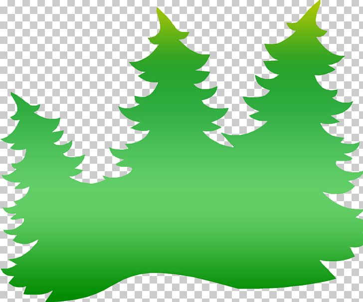 Spruce Christmas Tree Fir PNG, Clipart, Branch, Breakfast, Christmas, Christmas Decoration, Christmas Ornament Free PNG Download