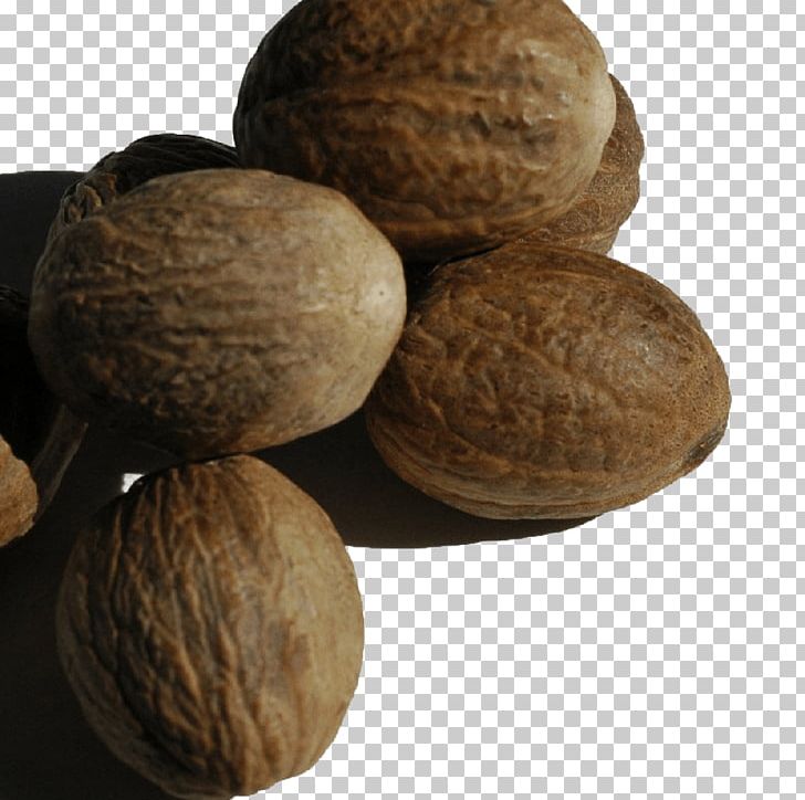 Walnut Nutmeg Peppersoup Spice Monodora Myristica PNG, Clipart, Condiment, Fennel, Food, Fruit Nut, Garam Masala Free PNG Download