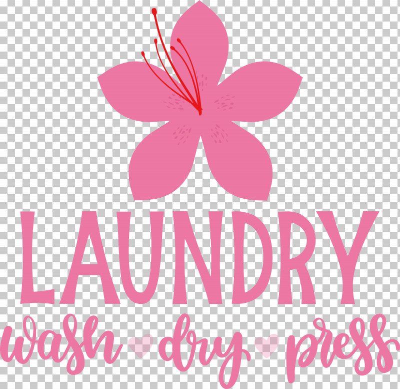 Laundry Wash Dry PNG, Clipart, Dry, Fashion, Fashion Design, Floral Design, Hatmaking Free PNG Download
