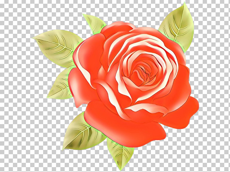 Garden Roses PNG, Clipart, Flower, Garden Roses, Hybrid Tea Rose, Petal, Pink Free PNG Download