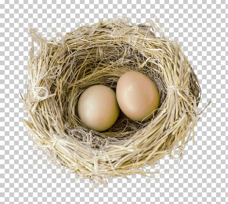 Bird Nest Egg Bird Nest Portable Network Graphics PNG, Clipart, Animals, Bird, Bird Egg, Bird Nest, Chicken Free PNG Download