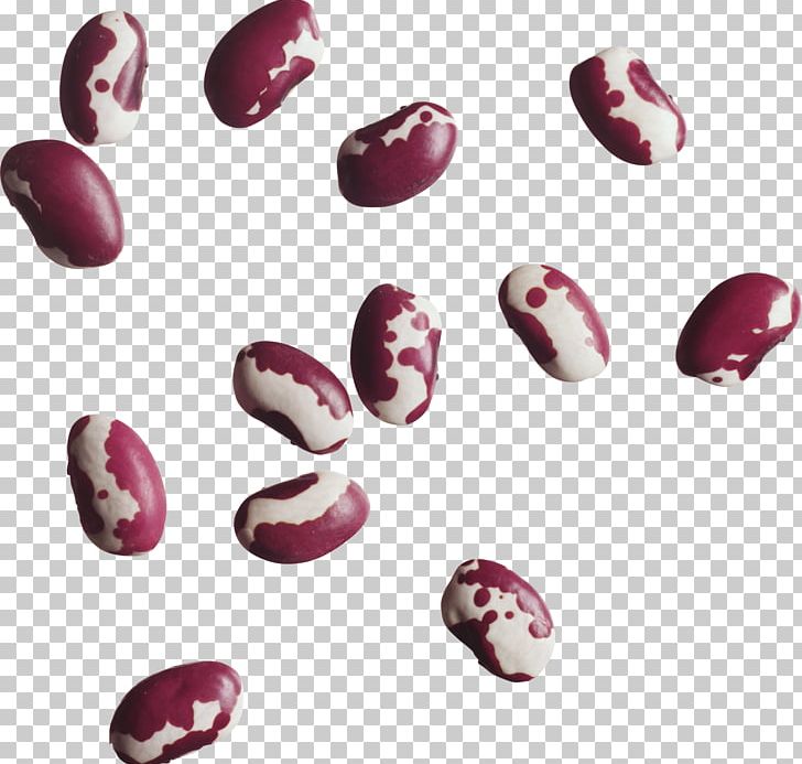 Common Bean Legume Lentil PNG, Clipart, Bean, Black Beans, Clip Art, Common Bean, Food Free PNG Download