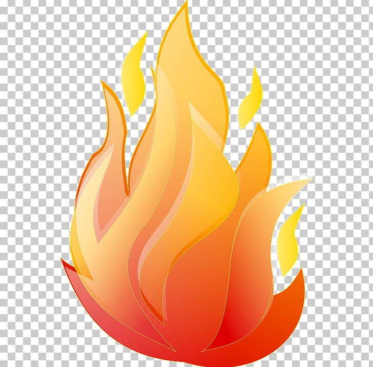 Flame Animation PNG, Clipart, Animation, Clip Art, Colored Fire, Computer  Icons, Computer Wallpaper Free PNG Download