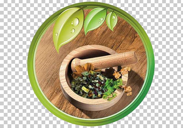 Herbalism Medicine Therapy Health PNG, Clipart, Alternative Health Services, Android, Disease, Dish, Food Free PNG Download