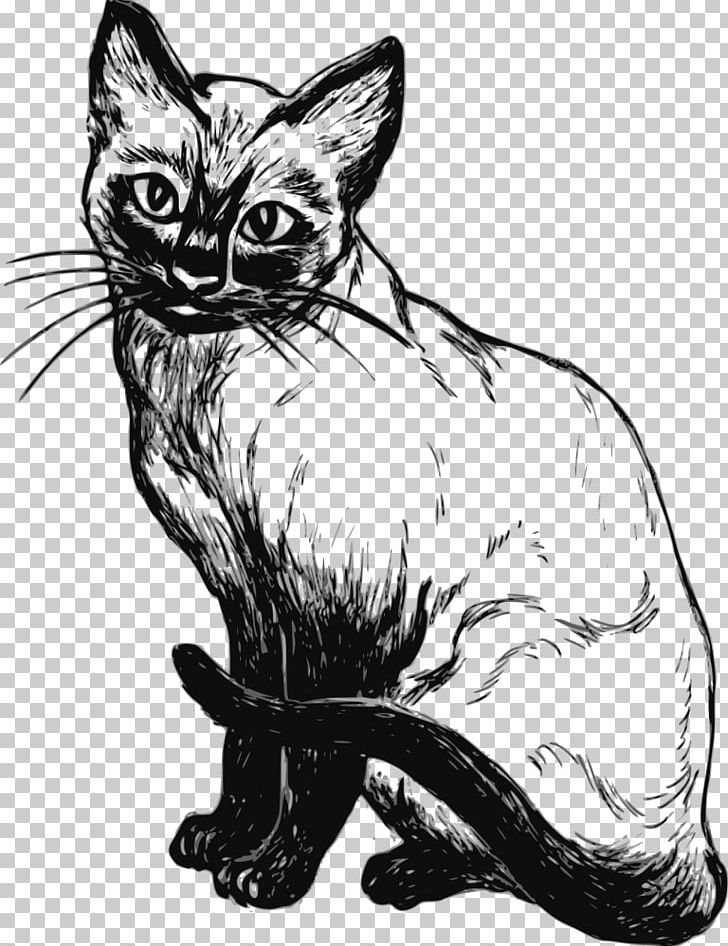 Siamese Cat Kitten Drawing Sketch PNG, Clipart, Animal, Animals, Art, Artwork, Carnivoran Free PNG Download