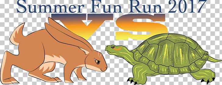 Tortoise Hendricks County Parks & Recreation YMCA Wildlife Turtle PNG, Clipart, Animal Figure, Avon, Car, Carnivoran, Cartoon Free PNG Download