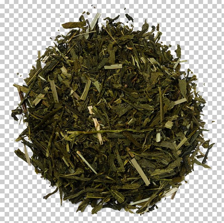 White Tea Green Tea Herbal Tea Tea Blending And Additives PNG, Clipart, Assam Tea, Green Tea, Herbal Tea, Hojicha, Huangshan Maofeng Free PNG Download