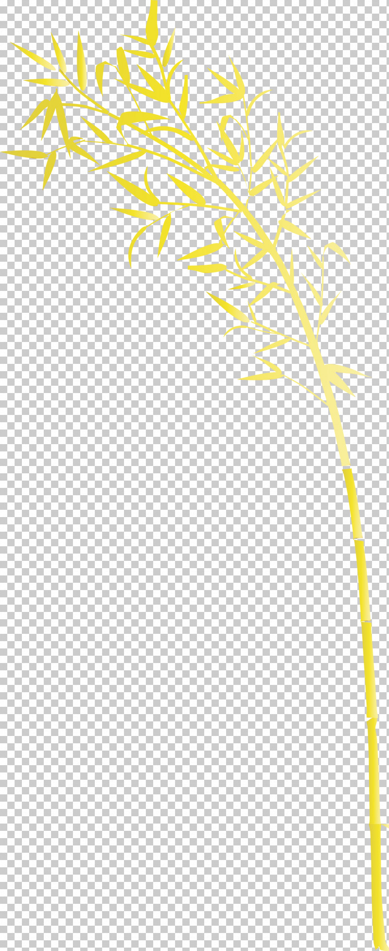 Yellow Line Plant Plant Stem Twig PNG, Clipart, Bamboo, Leaf, Line, Paint, Plant Free PNG Download
