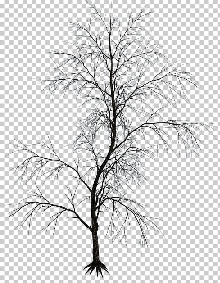 Black And White Twig Aesthetics Drawing PNG, Clipart, Aesthetic, Aesthetics, African Tree, Art, Black And White Free PNG Download