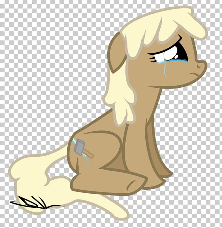 Dog Pony Rarity Rainbow Dash Fluttershy PNG, Clipart, Animal, Animals, Arm, Boy, Carnivoran Free PNG Download