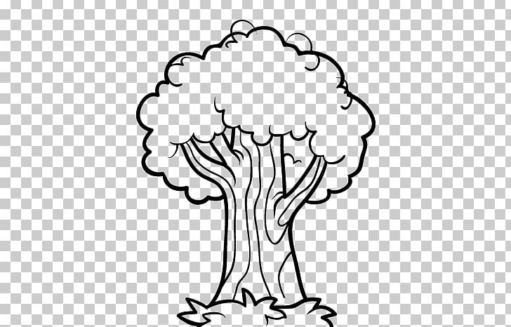oak tree drawing color