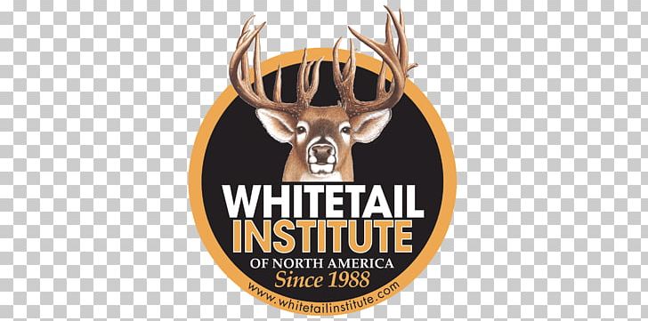 Logo Deer Brand Whitetail Institute Font PNG, Clipart, Antler, Brand, Deer, Label, Liquid Free PNG Download