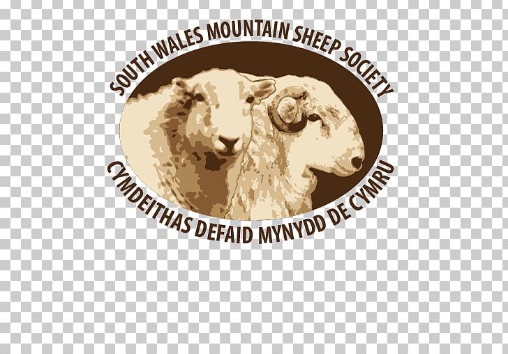South Wales Miners' Museum Welsh Mountain Sheep Brecon Sennybridge PNG, Clipart,  Free PNG Download