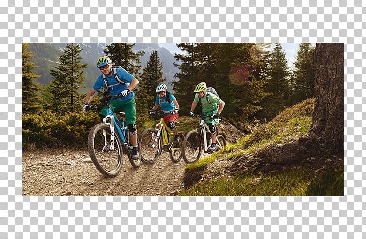 Downhill Mountain Biking Mountain Bike Cyclo-cross Electric Bicycle Hybrid Bicycle PNG, Clipart, Adventure, Bicycle, Bicycle Accessory, Cycling, Cyclocross Free PNG Download