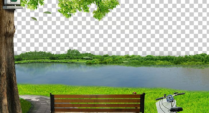 River Meadow Background Material PNG, Clipart, Biome, Decorative Patterns, Download, Ecosystem, Fukei Free PNG Download