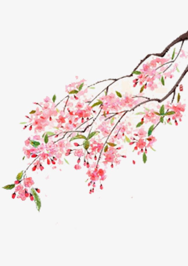 Cherry Tree Branches Material PNG, Clipart, Backgrounds, Blossom, Blossoms, Branch, Branches Free PNG Download