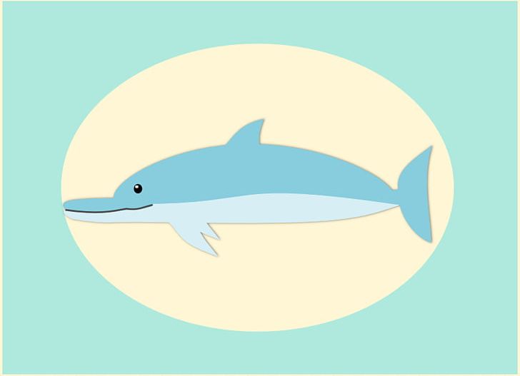 Common Bottlenose Dolphin PNG, Clipart, Blog, Common Bottlenose Dolphin, Decal, Dolphin, Download Free PNG Download