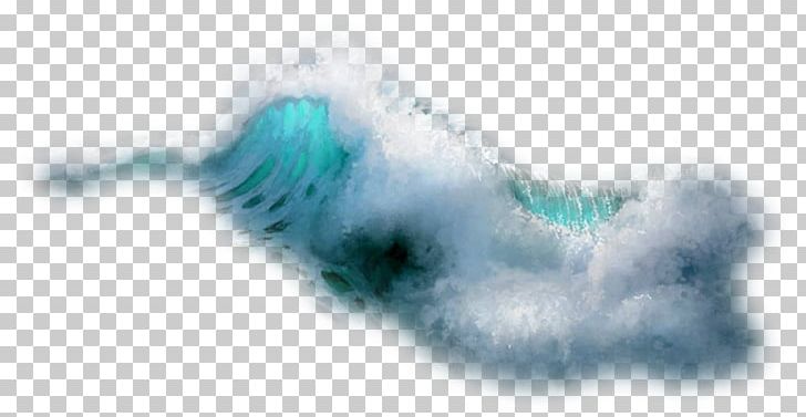 Wind Wave Sea Desktop Surfing PNG, Clipart, Animal, Big Wave Surfing, Desktop Wallpaper, Editing, Kitesurfing Free PNG Download