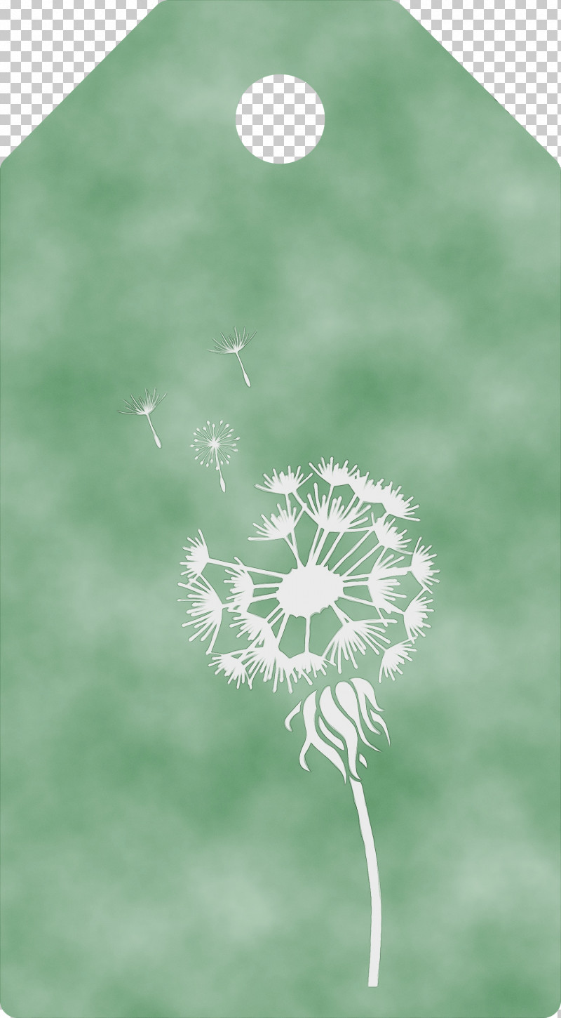 Leaf Green Close-up Flower Plant Structure PNG, Clipart, Biology, Closeup, Dandelion Tag, Flower, Green Free PNG Download