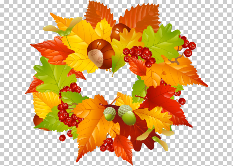 Thanksgiving PNG, Clipart, Autumn, Cut Flowers, Flower, Lantana, Leaf Free PNG Download