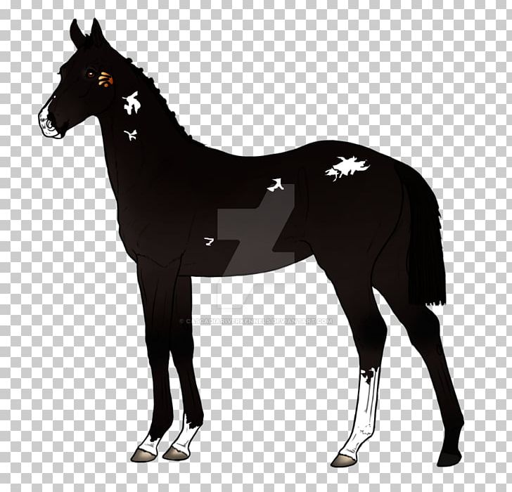 Mustang Anglo-Arabian Foal Stallion Colt PNG, Clipart, Angloarabian, Animal, Bit, Bridle, Colt Free PNG Download