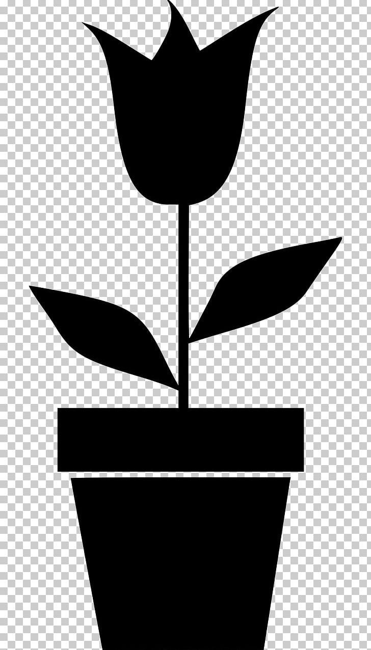Plant Flowerpot PNG, Clipart, Artwork, Black And White, Branch, Bud, Drawing Free PNG Download