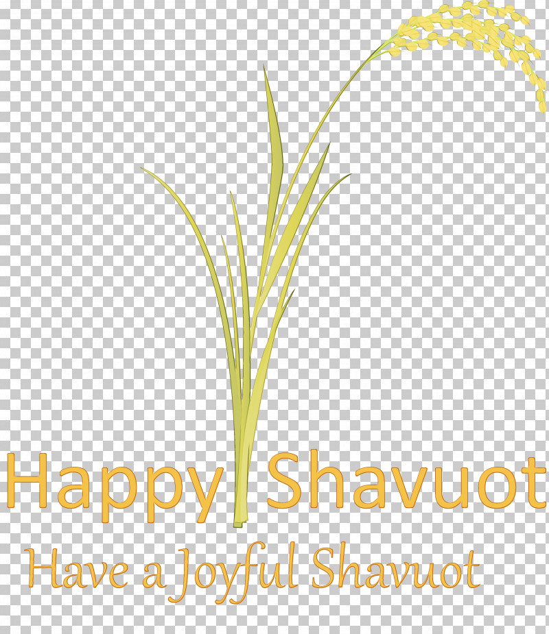 Text Plant Grass Grass Family Font PNG, Clipart, Elymus Repens, Flower, Grass, Grass Family, Happy Shavuot Free PNG Download