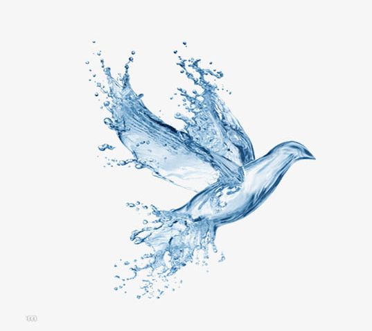 Free To Pull The Water Material PNG, Clipart, Bird, Bird Pictures, Creative, Creative Droplets Image, Decorative Free PNG Download