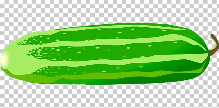 Pickled Cucumber Vegetable PNG, Clipart, Citrullus, Cucumber, Cucumber Gourd And Melon Family, Cucumber Slices, Cucumis Free PNG Download
