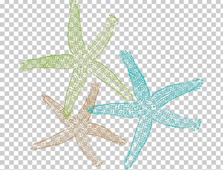 Starfish Sand Dollar Logo PNG, Clipart, Animal, Animals, Clipart, Clip Art, Computer Icons Free PNG Download
