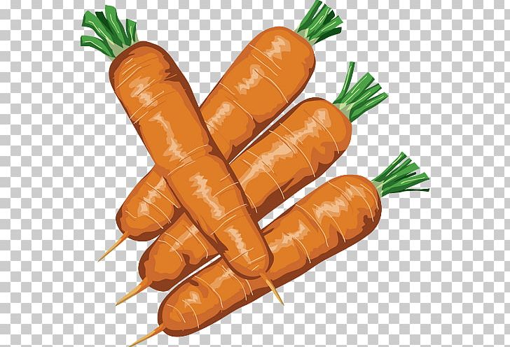 Baby Carrot Knackwurst Bockwurst Hot Dog PNG, Clipart, Baby Carrot, Bockwurst, Bologna Sausage, Breakfast Sausage, Carrot Free PNG Download