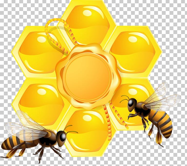 Honey Bee Honeycomb Beehive PNG, Clipart, Arthropod, Bee, Bumblebee, Computer Wallpaper, Drawing Free PNG Download